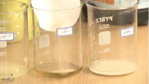 گزارش کار آزمایش فعالیت آنزیم ها در pHهای گوناگون شماره 15