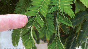 دانلود جزوه سوالات خط به خط فصل 9 زیست 2 با جواب 1404