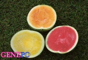 سوالات خط به خط فصل 4 زیست (3) با جواب pdf