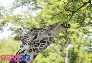 سوالات خط به خط فصل 5 زیست (3) با جواب pdf