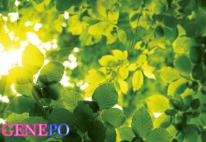 سوالات خط به خط فصل 6 زیست (3) با جواب pdf