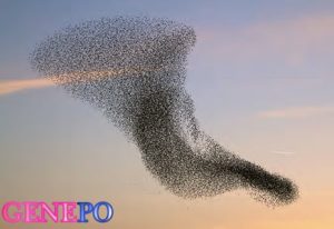 سوالات خط به خط فصل 8 زیست (3) با جواب pdf