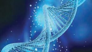 سوالات خط به خط زیست شناسی(3) با جواب pdf