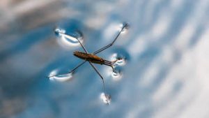 گزارش کار آزمایش شناوری شماره  22 - 21 - 20 -19 - 18