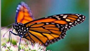 نمونه سوال فصل اول زیست 1