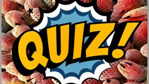 آزمون فصل 2 زیست دهم