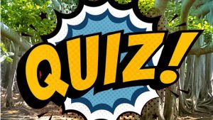 آزمون فصل 6 زیست دهم