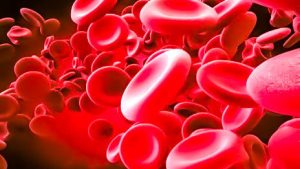 گزارش کار آزمایش گویچه های انتقال دهندۀ گازهای تنفسی - شماره 9