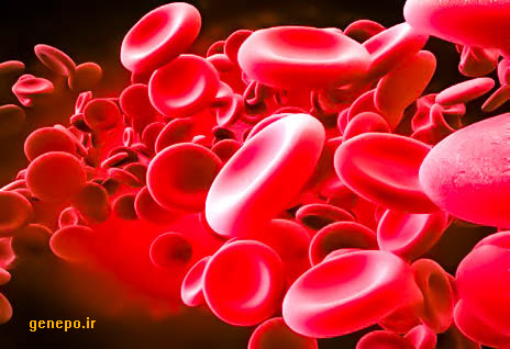 سوالات خط به خط  فصل 4 زیست 1 با جواب pdf